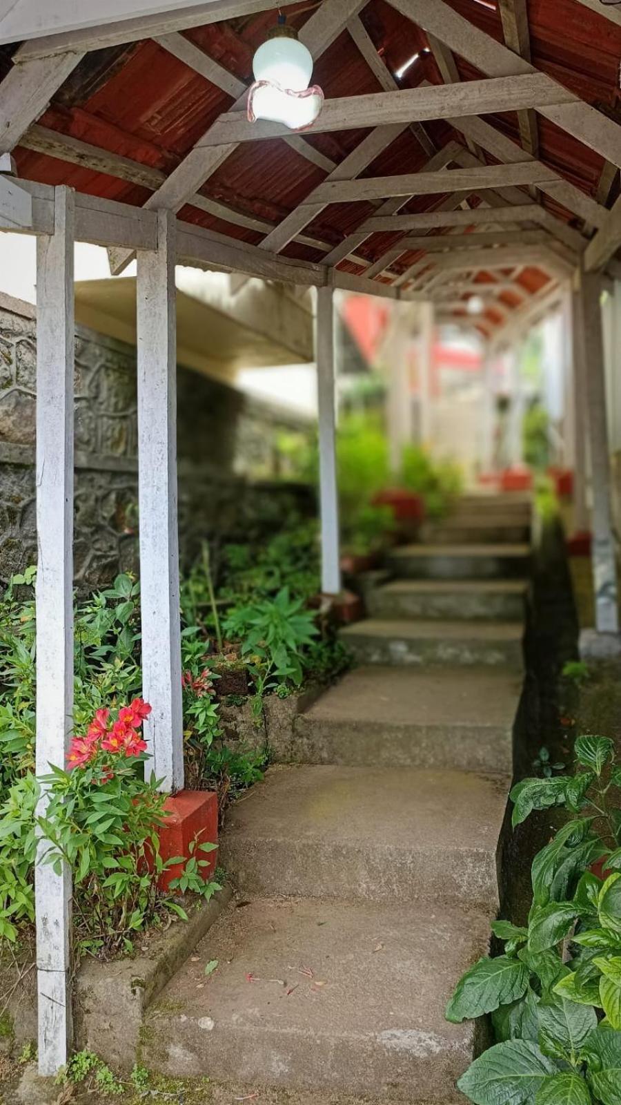 Fruitsnbeans Homestay 科代卡纳尔 外观 照片